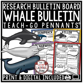 Preview of Whales Ocean Animals Research Activities Report Templates Science Bulletin Board