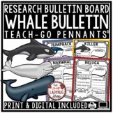 Whales Ocean Animals Research Activities Report Templates 
