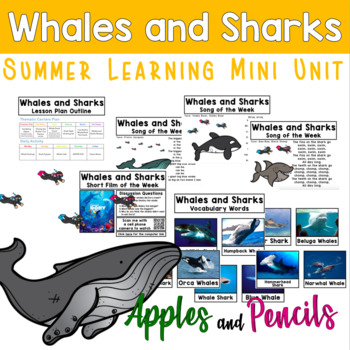 Preview of Whales and Sharks - Summer Learning Mini Unit