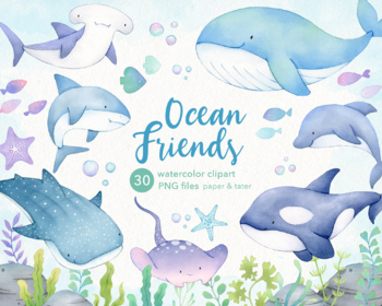Whales and Sharks Watercolor Clipart, Cute Ocean Animals PNG by  PaperAndTater