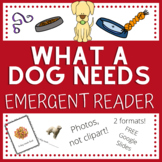 What A Dog Needs Emergent Reader - with photos