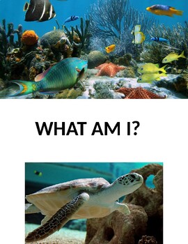 Preview of What Am I? - Ocean Animal Clues