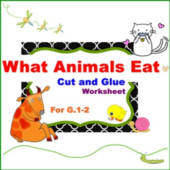 Classification Of Animals According To The Food They Eat