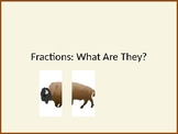 What Are Fractions?