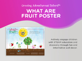 What Are Fruit and How Do They Grow Poster, Photosynthesis