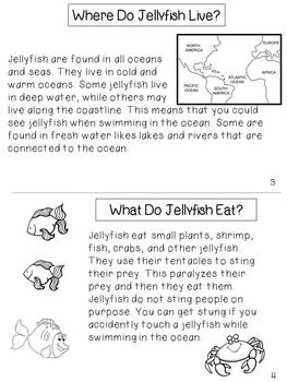 Jellyfish by TeacherMomof3 | Teachers Pay Teachers
