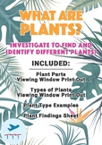What Are Plants? - Science Investigation