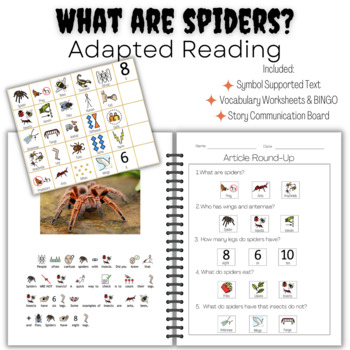 Preview of What Are Spiders? | Symbol Supported Reading