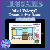 What Belongs? Life Skills | Items in the Home