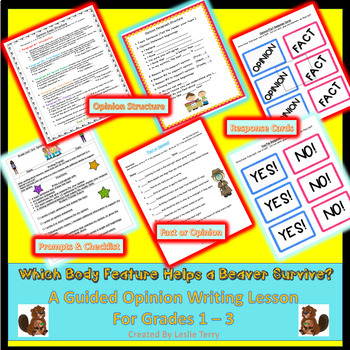 Preview of What Body Part is Most Important to a Beaver’s Survival? A Guided Opinion Lesson