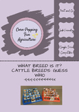 What Breed Is it? Cattle Breeds Edition