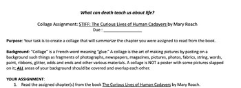 Preview of What Can Death Teach Us about Life? A Human Anatomy Midterm Project