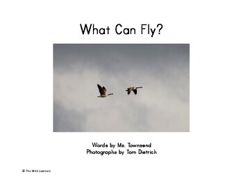 Preview of What Can Fly? Non-Fiction Book
