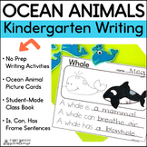 Ocean Animals Activities & Writing Prompts – Ocean Animal 