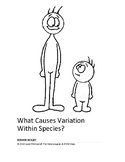 What Causes Variation in Human Height?