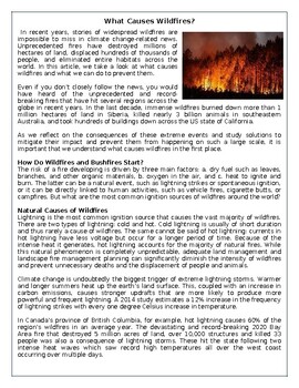 Preview of What Causes Wildfires? - Reading Comprehension Text