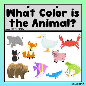 Preview of What Color is the Animal? Adapted Book (Color Practice)
