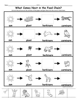 Food Chains: What Comes Next? by Helps4Teachers