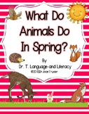 What Do Animals Do In Spring? (Distance Learning)