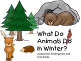What Do Animals Do in Winter?