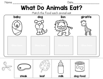 What Do Animals Eat? Worksheets Distance Learning by Learners of the World