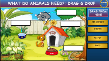 Preview of What Do Animals Need: Drag & Drop Worksheet: Google Slides + Powerpoint