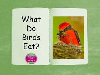 Preview of What Do Birds Eat? Bible-based .PDF book and activities