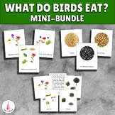 What Do Birds Eat? Montessori Activity Cards