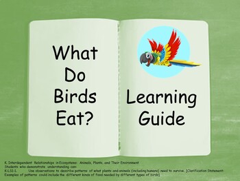 Preview of What Do Birds Eat? .PDF book and activities (secular)