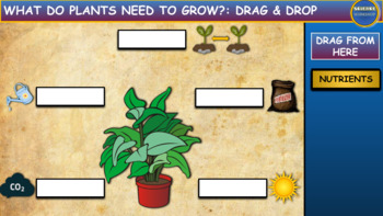 Preview of What Do Plants Need?: Drag & Drop Worksheet: Google Slides + Powerpoint