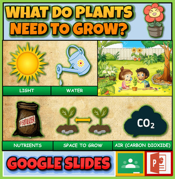 Preview of What Do Plants Need To Grow?: Interactive Powerpoint + Google Slides + Worksheet