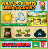 What Do Plants Need To Grow?: Interactive Powerpoint + Goo