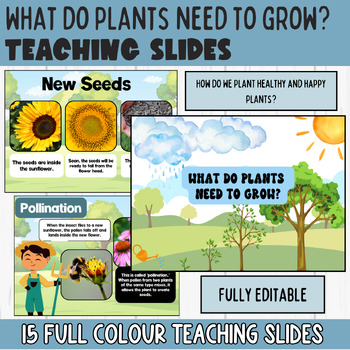 Preview of What Do Plants Need To Grow - The Science of Plant Growth: Editable Slides