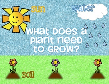 Preview of What Do Plants Need to Grow - Mini Poster and Worksheet