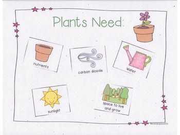 What Do Plants and Animals Need? {Aligns with NGSS K-LS1-1} | TPT
