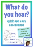 What Do You Hear quick and easy assessment pack