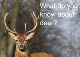 What Do You Know About Deer