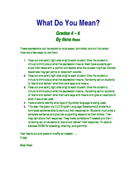 Preview of What Do You Mean? / Figurative Language