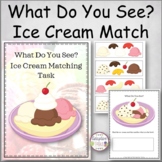 What Do You See? Ice Cream Matching Task