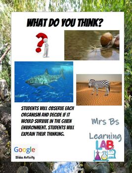 Preview of What Do You Think? Survival/Adaptations Writing - Distance Learning Grades 2-5