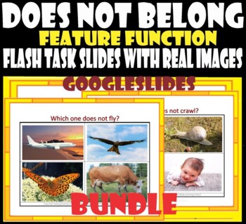 Preview of What Does Not Belong–Feature Function-Task Slides BUNDLE. GOOGLESLIDES