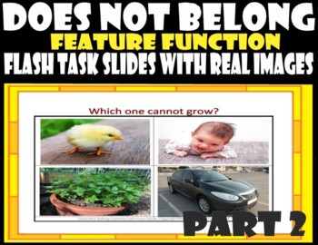 Preview of What Does Not Belong–Feature Function-Task Slides- Real Images Pt2. POWERPOINT