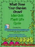 What Does Your Garden Grow? Mini Unit Plant Life Cycle