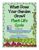 What Does Your Garden Grow? Plant Life Cycle