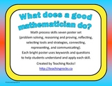 What Does a Good Mathematician Do? Math Process Skills Sev