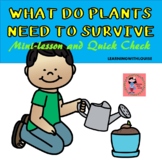 What Does a Plant Need to Survive