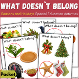 What Doesn't Belong Seasons and Holidays Activities for Sp