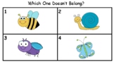What Doesn't Belong- Speech Therapy and ELL Practice