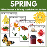What Doesn`t Belong? Spring Activity Special Education Aut