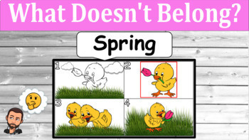 Preview of What Doesn't Belong Spring | Critical Thinking Activity  